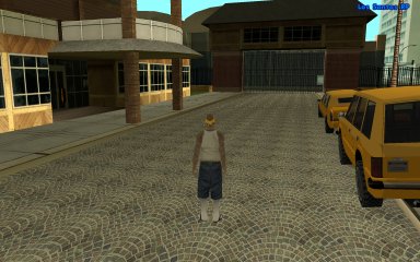 lsrp13.jpg