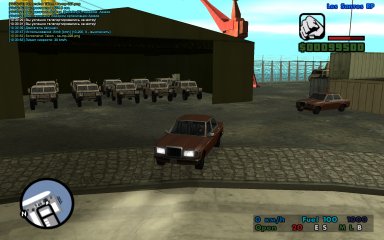 lsrp28.jpg